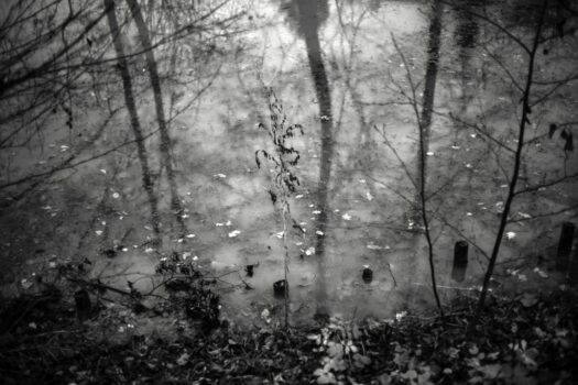 Jan Thau Foto "the last one standing" 2015