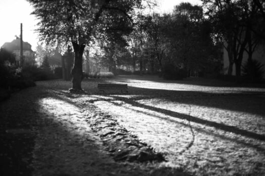 Jan Thau Foto "Morning in the Park"