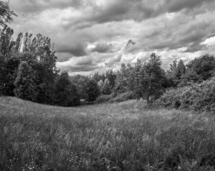 Jan Thau Foto The Park