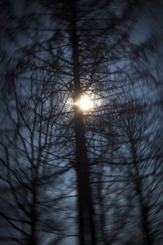 Jan Thau "Waiting for the Sun" 2016